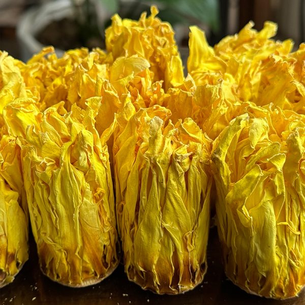 现货基地直发九品十三品香水莲干花金色香水莲花500克散花型 - 图片 2