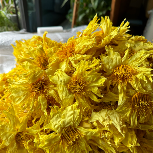 现货基地直发九品十三品香水莲干花金色香水莲花500克散花型