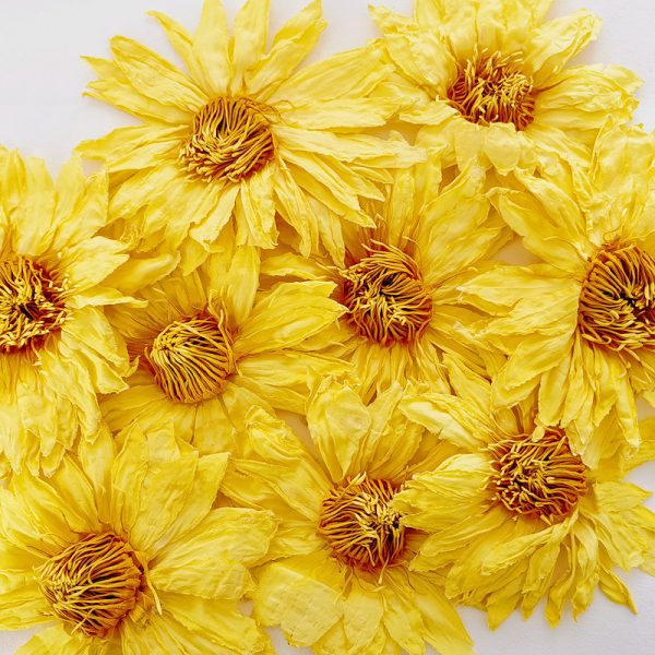 现货基地直发九品十三品香水莲干花金色香水莲花500克散花型 - 图片 3
