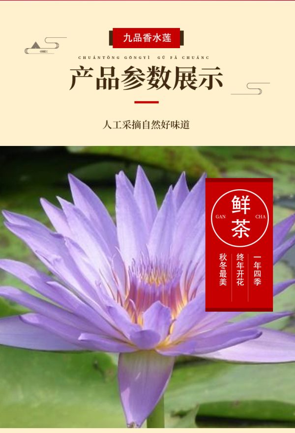 山水の間に同じ9品13品の香水蓮華茶紫金藍蓮花13輪 - 画像 (6)