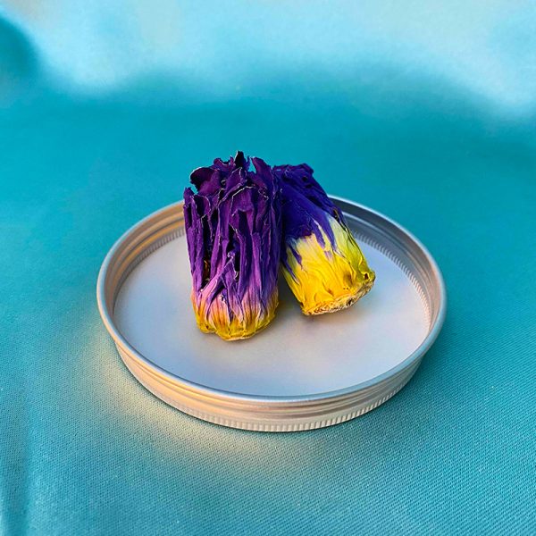 山水の間に同じ9品13品の香水蓮華茶紫金藍蓮花13輪 - 画像 (4)