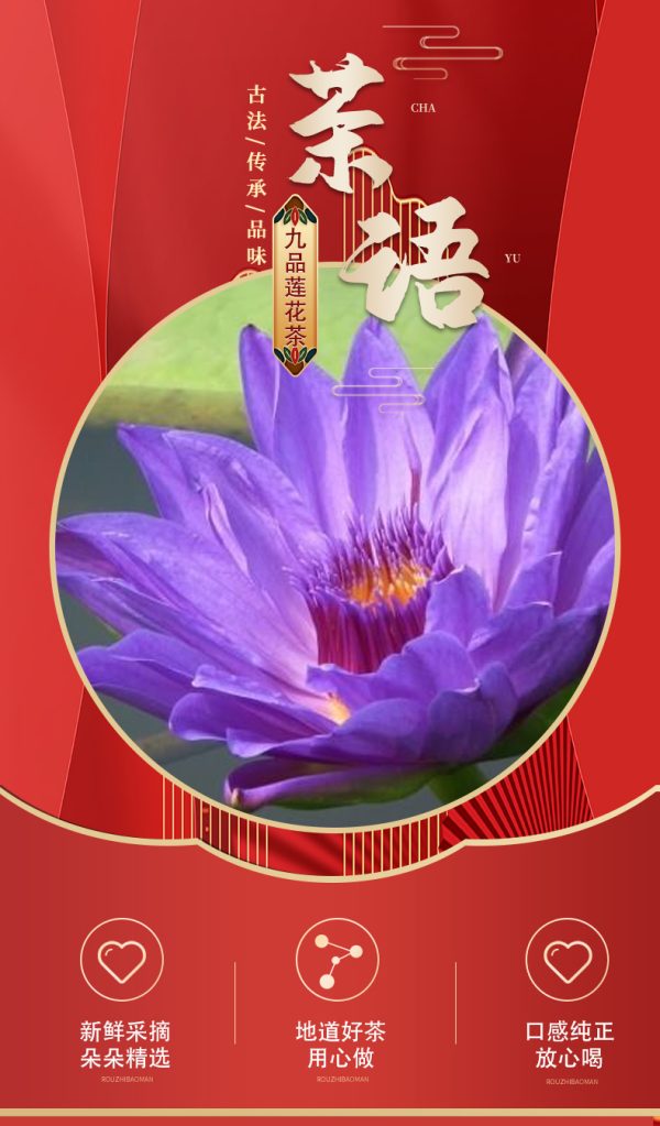 山水の間に同じ9品13品の香水蓮華茶紫金藍蓮花13輪 - 画像 (5)